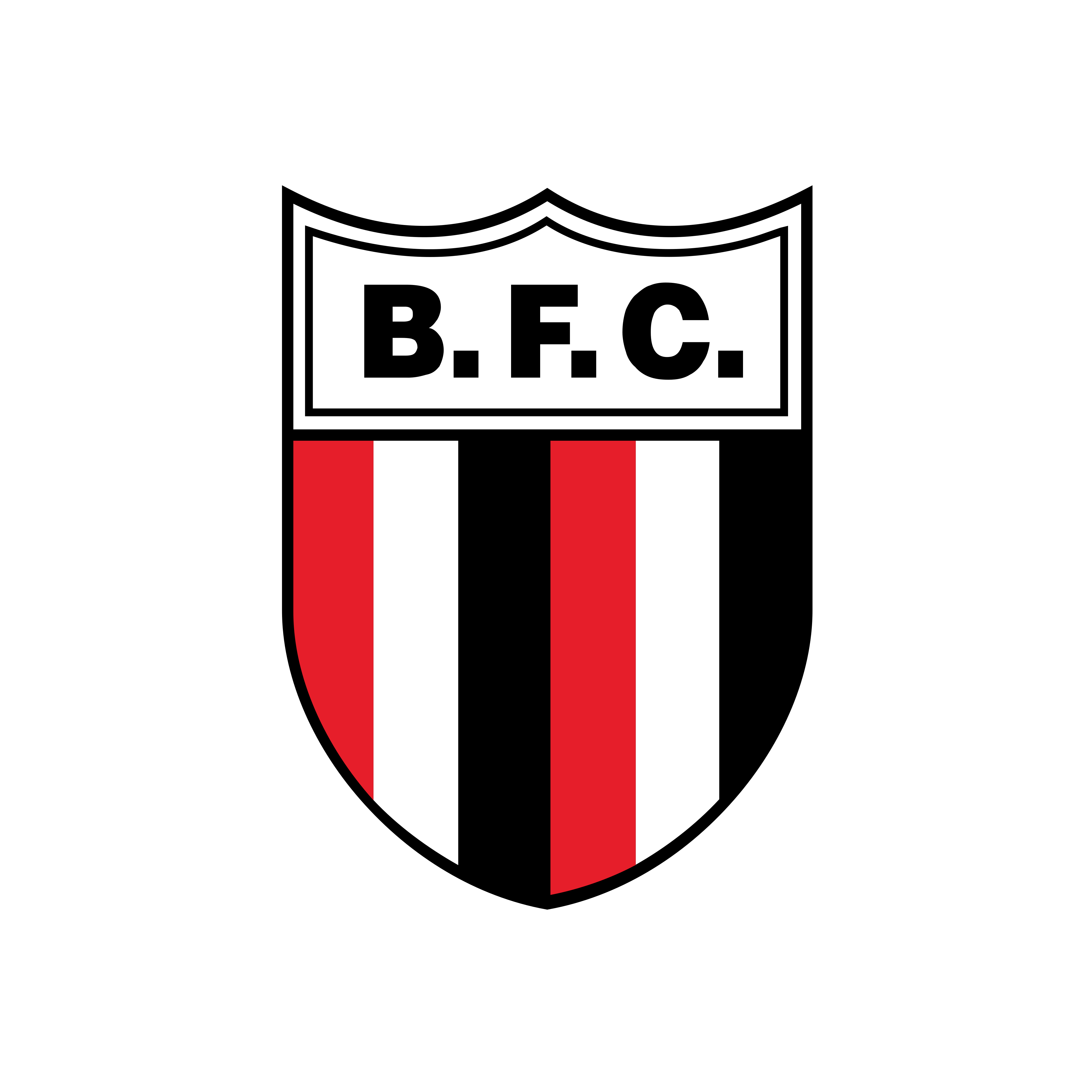 Escudo do Botafogo Futebol Clube de Ribeirão Preto